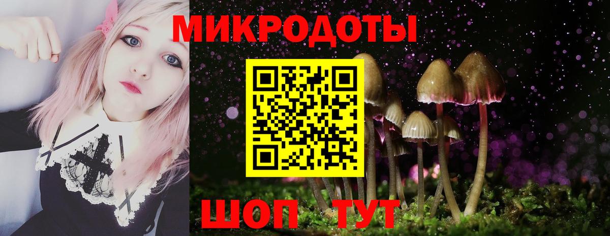 Ликино-Дулёво  Псилоцибиновые грибы Psilocybe  Вход с VPN 